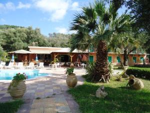 
a beach with palm trees and palm trees at Phivos Hotel in Paleokastritsa
