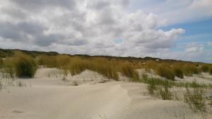 a sandy beach with tall grass in the background at Strandhotel Juister Hof in Juist