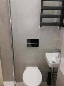 Kúpeľňa v ubytovaní 3D Royal Castle Apartament