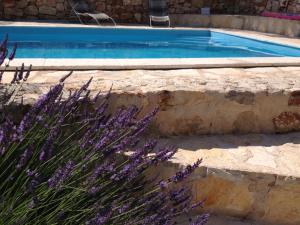 una piscina con flores púrpuras delante en Vila Familia Hvar, en Vrboska