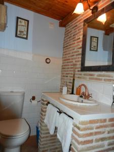 a bathroom with a sink and a toilet and a mirror at Casa Rebollares I in Piedralaves