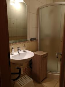 a bathroom with a sink and a shower at Telgárt Apartmán č.12 in Telgárt