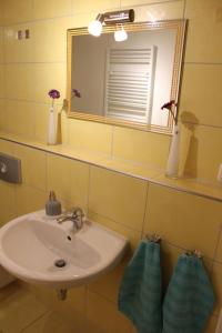 Ένα μπάνιο στο Ferienwohnung Familie Becher Klingenthal Aschberg +4 φωτογραφίες
