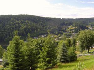 a group of trees on a hill with a town at Ferienwohnung Familie Becher Klingenthal Aschberg in Klingenthal