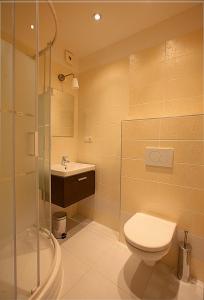 a bathroom with a toilet and a shower and a sink at Old House in Hradec nad Moravici +23 photos