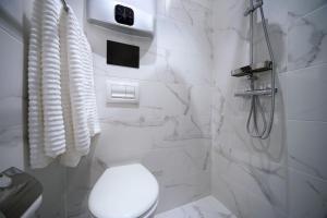 een witte badkamer met toilet en douche bij Valnu street Old Town - quiet area in Rīga +14 foto's