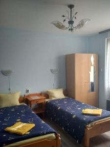 Postel nebo postele na pokoji v ubytování Veselata Guest House