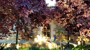 a building with purple trees in front of it at D2 at Watervale in Watervale