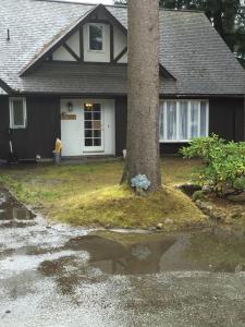 a house with a tree in front of it at Glacier Guest Room - PRIVATE ROOM IN SHARED HOUSE REDUCED PRICE ON TOURS in Juneau