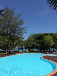 a large blue swimming pool with trees in the background at Phayam Cottage Resort in Ko Phayam