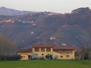 a house in a field in front of a mountain at Il Chicco d'Oro in Massarosa