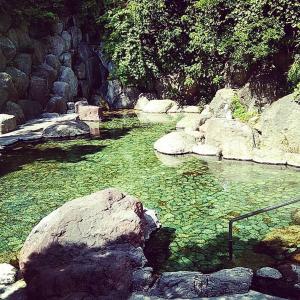 una piscina de agua verde con rocas y árboles en Hotel Cetus Royal, en Higashiizu