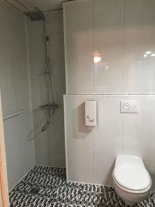 La salle de bains est pourvue de toilettes et d'une douche en verre. dans l'établissement Hôtel le Rohu, à Séné