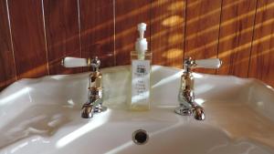 a bathroom sink with a bottle of soap on it at Holly Homestead B&B in Franz Josef +21 photos