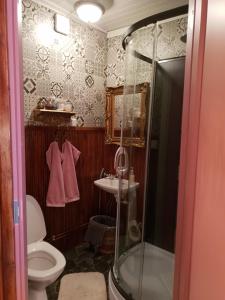 a bathroom with a shower and a toilet and a sink at Renkitupa in Raahe