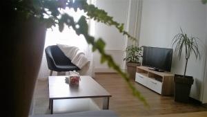 TV a/nebo společenská místnost v ubytování CENTER 23 - Old Town