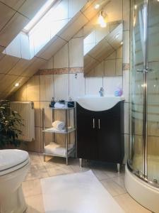 Koupelna v ubytování Casa Csiki + 25 fotografií