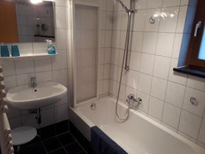 ein Badezimmer mit einer Dusche, einem Waschbecken und einer Badewanne in der Unterkunft Ferienwohnungen Ferstl in Riedenburg