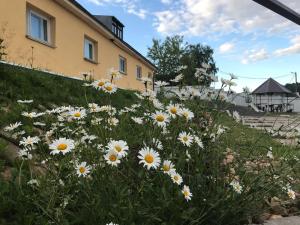 a field of white flowers in front of a building at Гостиница "Art-Hotel Vernisage" in Velikiy Novgorod