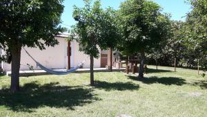 a hammock hanging between two trees in a yard at Casa Don Francisco in Termas del Daymán