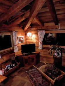 TV a/nebo společenská místnost v ubytování Maison Lazier