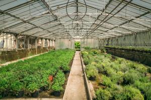 una serra con file di piante all’interno di Fondo Brugarolo a Busnago