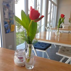 Fotografie z fotogalerie ubytování Alba Hotel v destinaci Marina di Ravenna