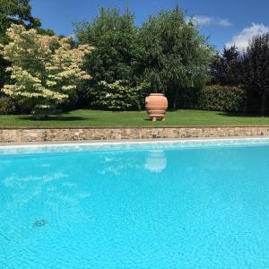 un jarrón grande sentado junto a una piscina en Il Melograno, en Gallicano