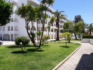 ポルシェスにあるDreaming of Algarveのヤシの木が茂る建物前の公園