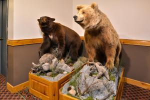 
two large brown bears standing next to each other at Stage Coach Inn in West Yellowstone
