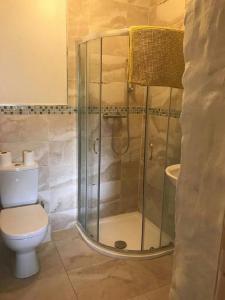a bathroom with a shower and a toilet at Ash Lodge Leitrim Village in Leitrim +7 photos