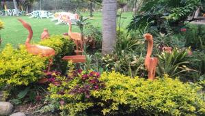 Foto dalla galleria di Hosteria Campestre San Fermin a Ráquira