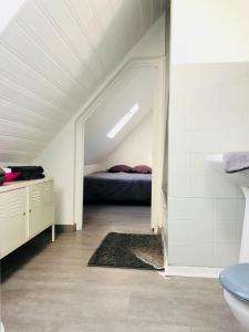 ストラスブールにあるF1 atypique au centre de Strasbourgのベッドルーム(ベッド付)1室(屋根裏部屋)