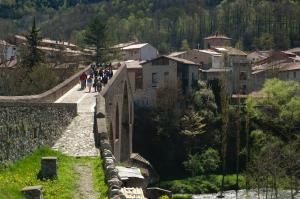Príroda v okolí hostela