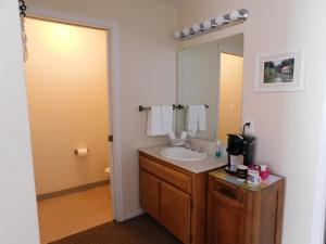 a bathroom with a sink and a mirror at Freeport Wine Country Inn in Freeport