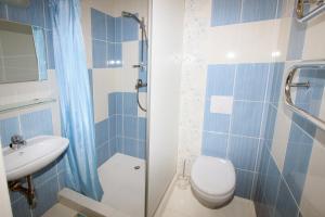 a bathroom with a shower and a toilet and a sink at Vila Medus in Palanga +36 photos