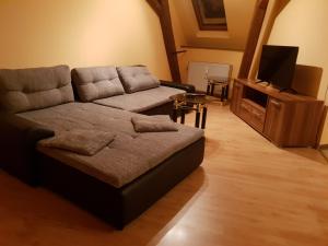 a living room with a couch and a tv at Ferienwohnung Liebeskummer in Traben-Trarbach