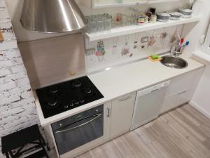 Kuchyň nebo kuchyňský kout v ubytování Studio apartman Zagreb Horvati
