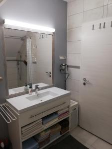 a bathroom with a sink and a mirror at Studio apartman Zagreb Horvati in Rakov Potok