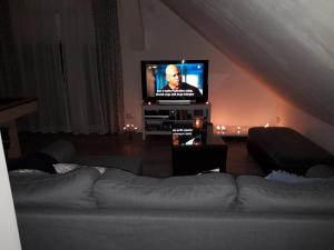 TV a/nebo společenská místnost v ubytování Studio apartman Zagreb Horvati