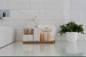 a shelf with books and a potted plant on a kitchen counter at Markee Hotel Boutique Querétaro Centro Historico in Querétaro