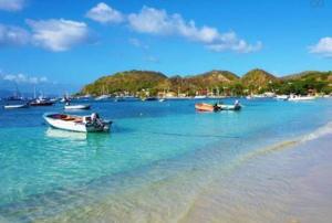 a group of boats in the water on a beach at AUX ILES d'AMOUR in Terre-de-Haut