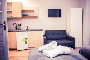ein Wohnzimmer mit einer Couch und einem Sessel in der Unterkunft Apartamenty 21 Basic in Stettin + 21 Fotos