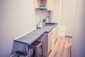 Küche/Küchenzeile in der Unterkunft Apartamenty 21 Basic
