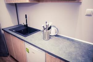 Küche/Küchenzeile in der Unterkunft Apartamenty 21 Basic