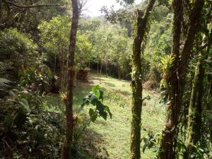 Glamping Finca Corazón外面的花园