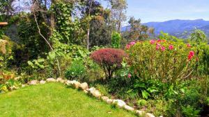 Glamping Finca Corazón外面的花园