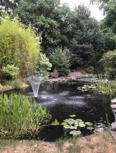 Příroda nedaleko ubytování v soukromí