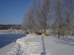 Holms Heagård v zimě