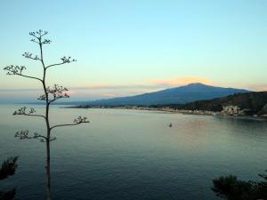 vista su un lago con un albero in primo piano di Villa degli Ulivi a Taormina